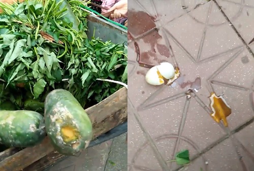 Phụ huynh tố thực phẩm đưa vào trường học bị hư thối